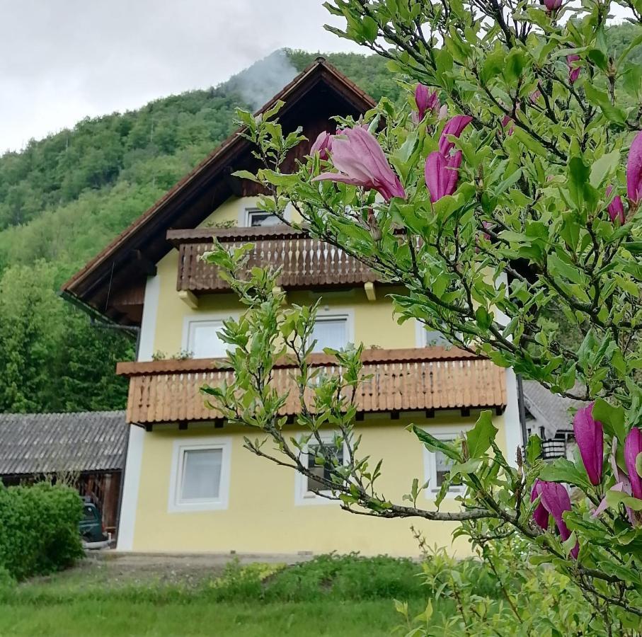Apartment House Andrej Bohinj Exterior foto