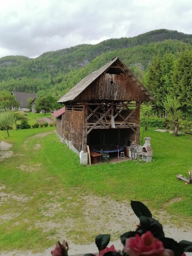 Apartment House Andrej Bohinj Exterior foto
