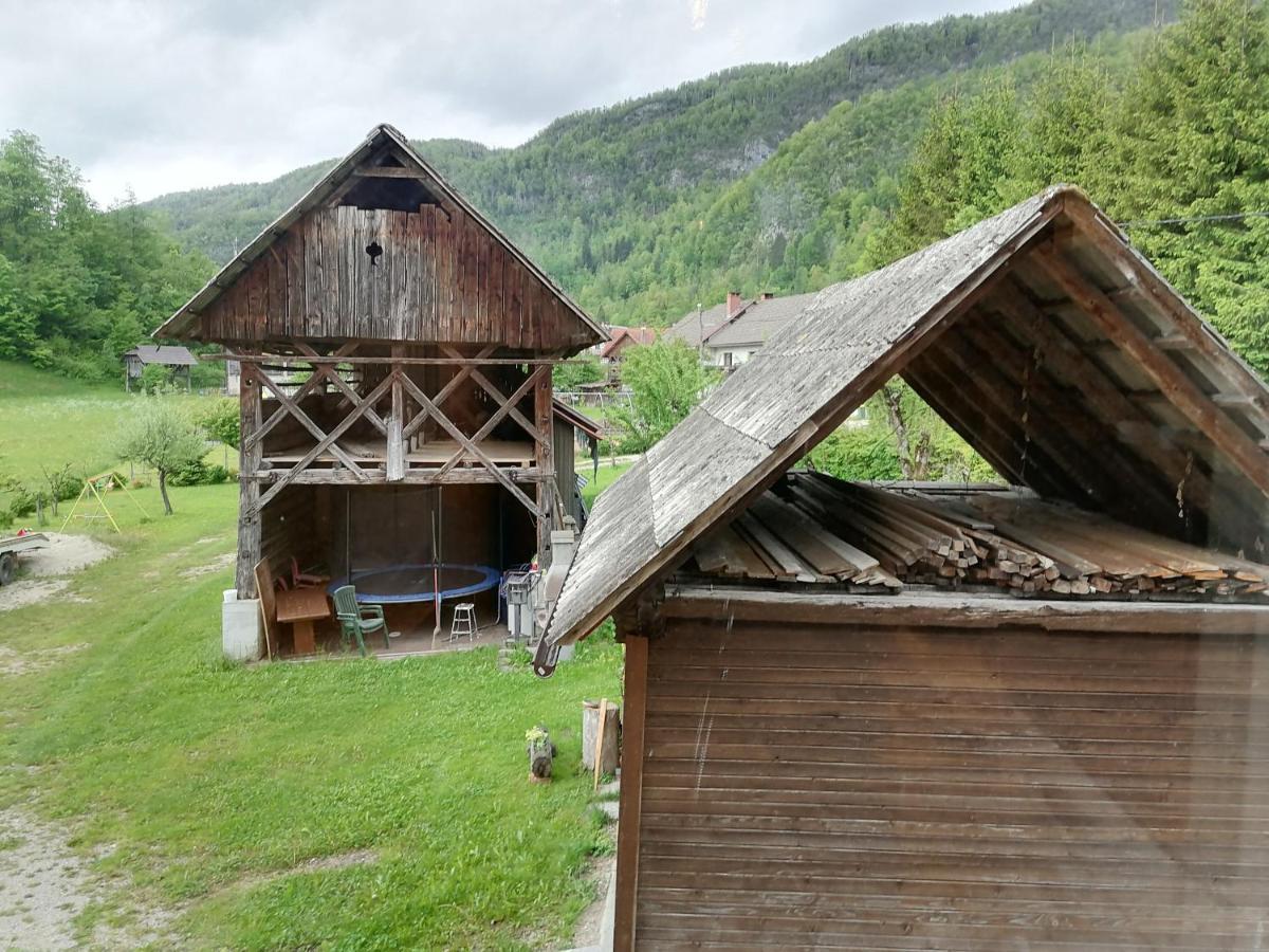 Apartment House Andrej Bohinj Exterior foto