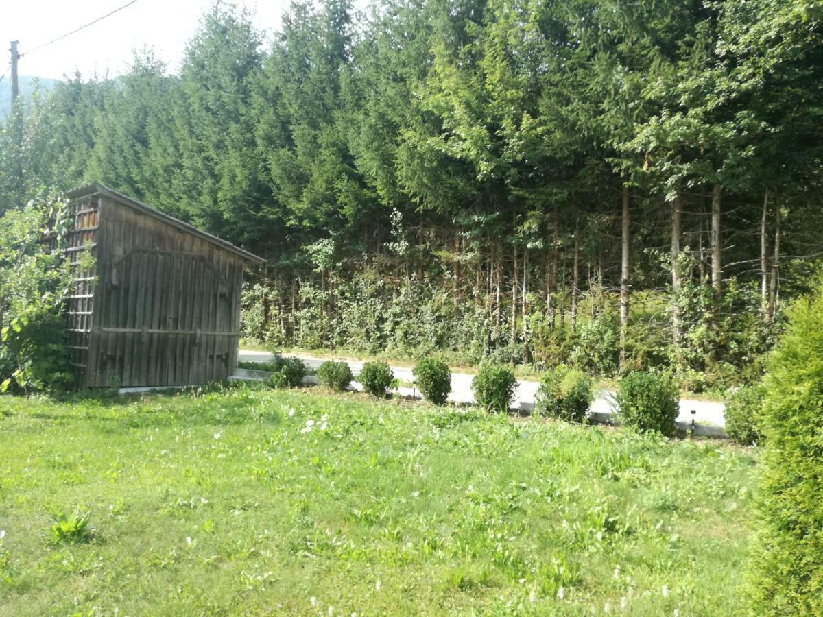 Apartment House Andrej Bohinj Exterior foto