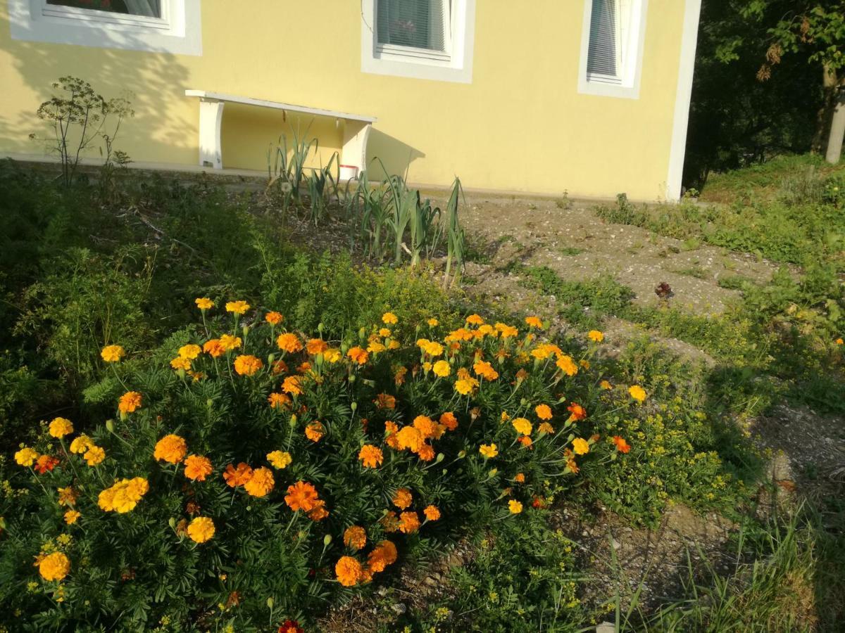 Apartment House Andrej Bohinj Exterior foto